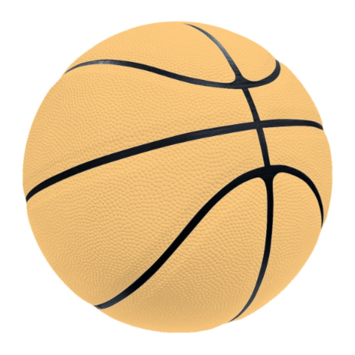 Lions Basketball EB Sports