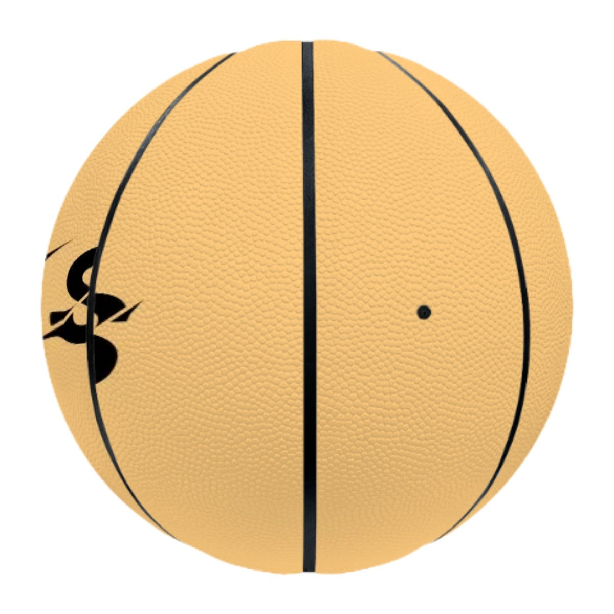 Lions Basketball EB Sports