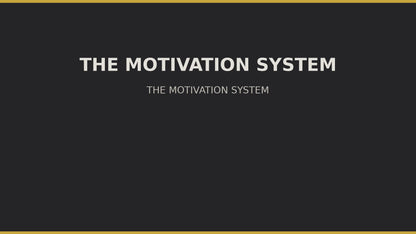 The Motivation System